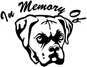 In Memory Of Boxer Bulldog Decal