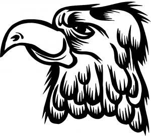Cartoon Eagle Head Decal