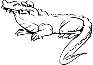 Crocodile Alligator Decal