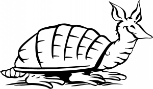 Armadillo Decal Animals car-window-decals-stickers