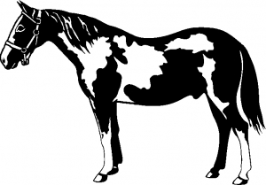 Paint Horse Animals car-window-decals-stickers