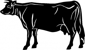 Solid Cow Animals car-window-decals-stickers