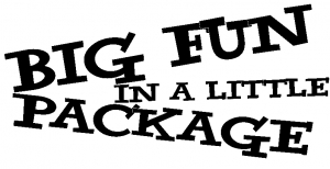 Big Fun in a Little Package Words car-window-decals-stickers