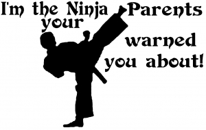 Im The Ninja Your Parents Warned You About Funny car-window-decals-stickers