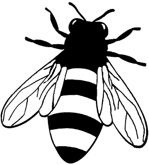 Honey Bee Animals car-window-decals-stickers