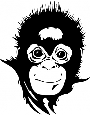 Monkey Animals car-window-decals-stickers