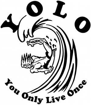 YOLO You Only Live Once Surfing Sports car-window-decals-stickers