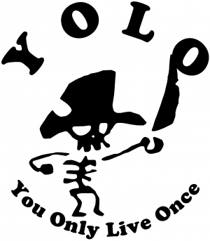 YOLO You Only Live Once Cute Pirate Funny car-window-decals-stickers