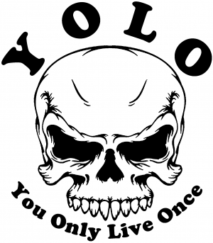 YOLO You Only Live Once Mean Skull Skulls car-window-decals-stickers