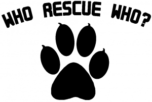 Who Rescue Who Animals car-window-decals-stickers
