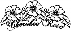 Cherokee Rose Vines Flowers And Vines car-window-decals-stickers