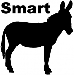 Smart Ass Funny car-window-decals-stickers