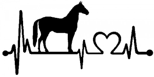 Horse Heart Heartbeat Lifeline Love