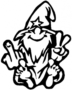 Wizard Shooting Bird and Giving Peace Sign