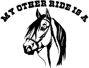 My other ride is a Horse
