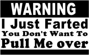 I Just Farted Dont Pull Me Over Funny car-window-decals-stickers