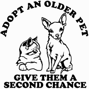 Adopt Older Pets Give Them a Second Chance Car or Truck Vinyl Window Decal Sticker