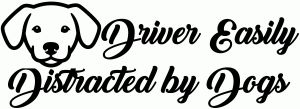 Driver Easily Distracted by Dogs Car or Truck Vinyl Window Decal Sticker