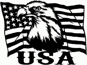 USA American Flag and Bald Eagle Left Car or Truck Vinyl Window Decal Sticker