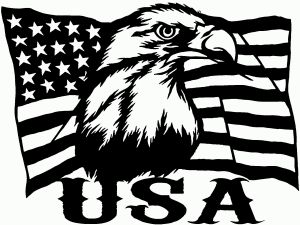 USA American Flag Bald Eagle Right Car or Truck Vinyl Window Decal Sticker