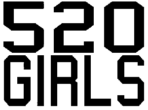 520 Girls Special Orders car-window-decals-stickers
