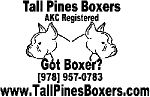 Tall Pine Boxers Special Orders car-window-decals-stickers