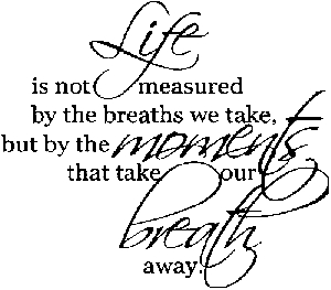Life Is Not Measured Special Orders car-window-decals-stickers