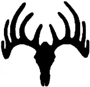 Deer Skull Mount Hunting And Fishing car-window-decals-stickers