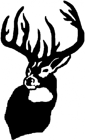Buck Deer Hunting And Fishing car-window-decals-stickers