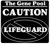 No Lifeguard Funny car-window-decals-stickers