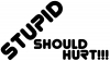 Stupid Should Hurt Funny Car or Truck Window Decal