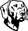 Labrador Retriever Animals Car or Truck Window Decal