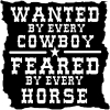 Wanted By Cowboys Feared By Horses Western Car or Truck Window Decal