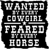 Wanted By Cowgirls Feared By Horses Western Car or Truck Window Decal