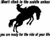 Ride Of Your Life Rodeo Decal Western car-window-decals-stickers