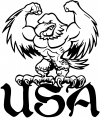 USA Muscle Bald Eagle Decal Military Car or Truck Window Decal