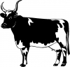 Cow Animals Car or Truck Window Decal