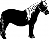 Shelton Pony