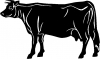 Solid Cow Animals Car Truck Window Wall Laptop Decal Sticker