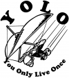 YOLO You Only Live Once Hangglider Sports Car or Truck Window Decal