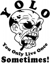 YOLO You Only Live Once Sometimes Zombie Funny Car Truck Window Wall Laptop Decal Sticker