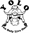YOLO You Only Live Once Big Bull Western Car or Truck Window Decal