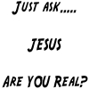 Just Ask JESUS Are You Real Christian Car Truck Window Wall Laptop Decal Sticker