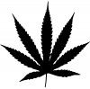 Marijuana Pot Leaf Drinking - Party Car or Truck Window Decal