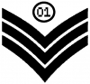 Binary Sergeant Military car-window-decals-stickers