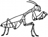 Praying Mantis Animals car-window-decals-stickers