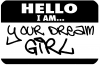Hello I Am Your Dream Girl Girlie Car Truck Window Wall Laptop Decal Sticker