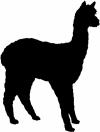 Alpaca Silhouette  Animals Car or Truck Window Decal
