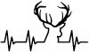 Buck Deer Heartbeat Hunting And Fishing Car or Truck Window Decal