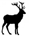 Deer Shadow (whole body) Hunting And Fishing Car or Truck Window Decal